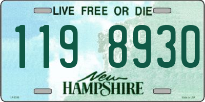 NH license plate 1198930