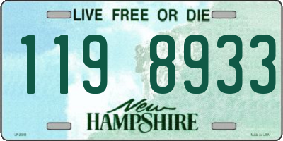 NH license plate 1198933