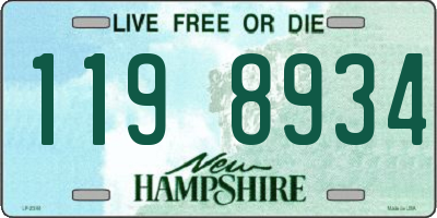 NH license plate 1198934