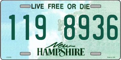 NH license plate 1198936
