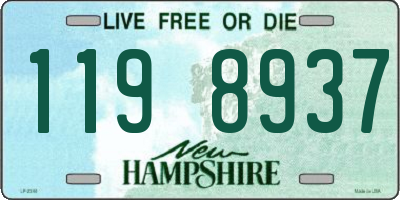 NH license plate 1198937