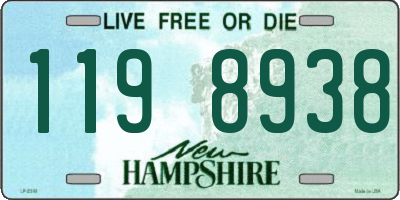 NH license plate 1198938