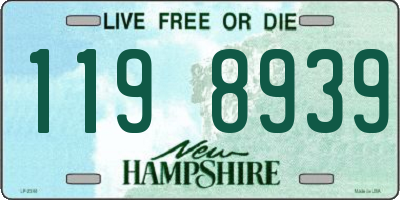 NH license plate 1198939
