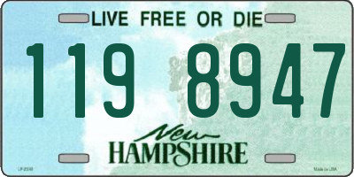 NH license plate 1198947