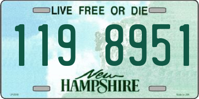 NH license plate 1198951