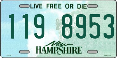 NH license plate 1198953