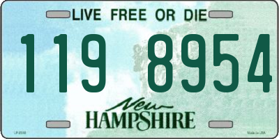 NH license plate 1198954