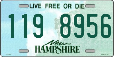 NH license plate 1198956