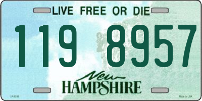 NH license plate 1198957