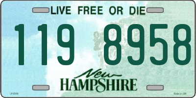 NH license plate 1198958