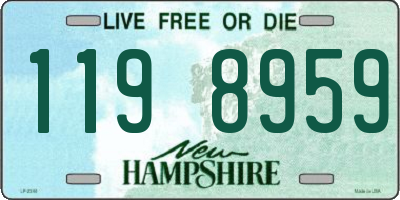 NH license plate 1198959
