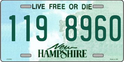 NH license plate 1198960