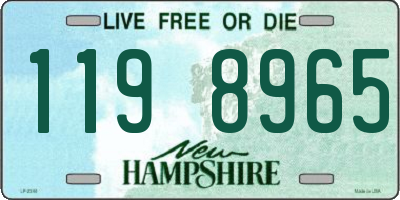 NH license plate 1198965