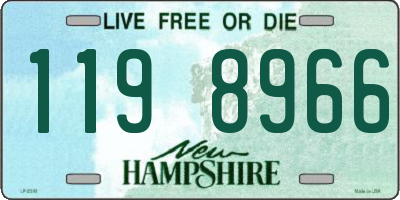 NH license plate 1198966