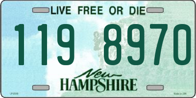 NH license plate 1198970