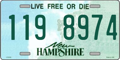 NH license plate 1198974
