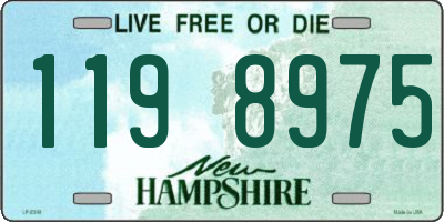 NH license plate 1198975
