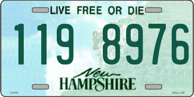 NH license plate 1198976