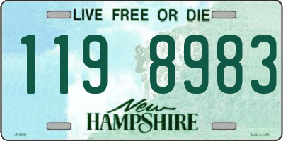 NH license plate 1198983
