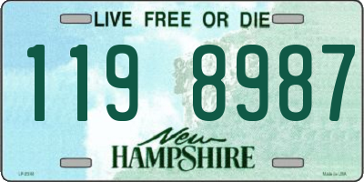 NH license plate 1198987