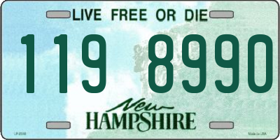 NH license plate 1198990
