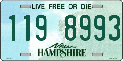 NH license plate 1198993