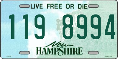 NH license plate 1198994