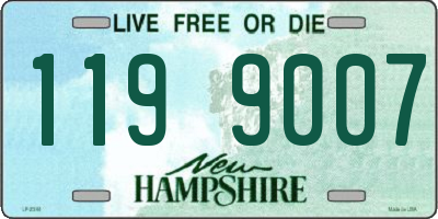 NH license plate 1199007