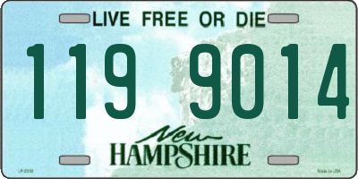 NH license plate 1199014