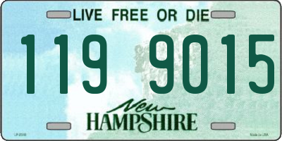 NH license plate 1199015