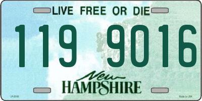 NH license plate 1199016