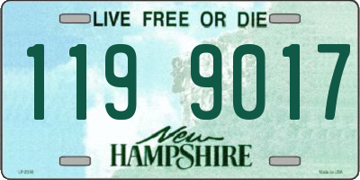 NH license plate 1199017