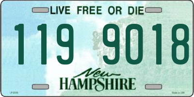 NH license plate 1199018