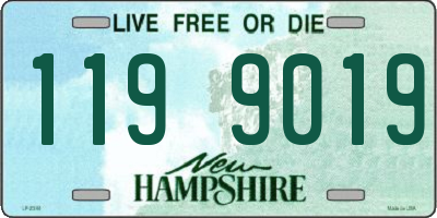 NH license plate 1199019