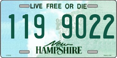 NH license plate 1199022