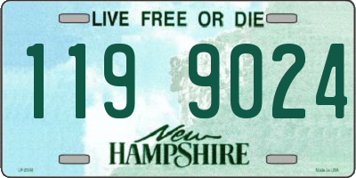 NH license plate 1199024