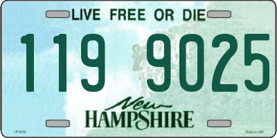 NH license plate 1199025