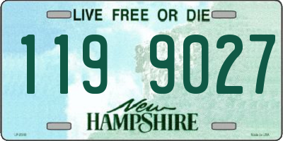 NH license plate 1199027