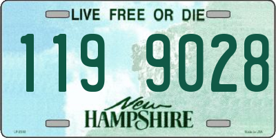 NH license plate 1199028