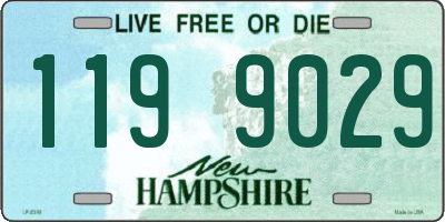 NH license plate 1199029