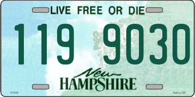 NH license plate 1199030