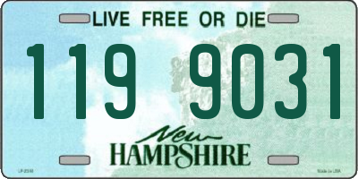 NH license plate 1199031