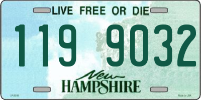 NH license plate 1199032