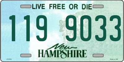 NH license plate 1199033