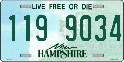 NH license plate 1199034