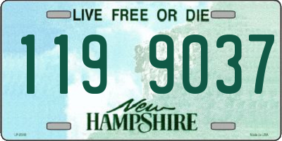NH license plate 1199037