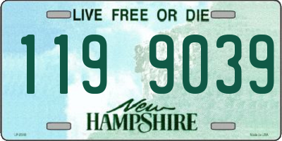 NH license plate 1199039