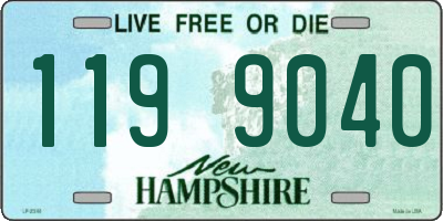 NH license plate 1199040