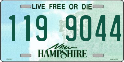 NH license plate 1199044