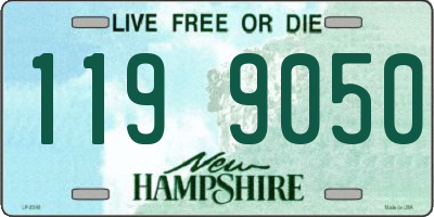 NH license plate 1199050